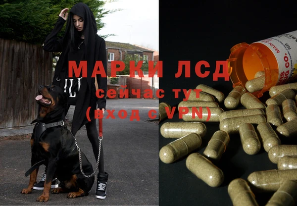 трава Армянск
